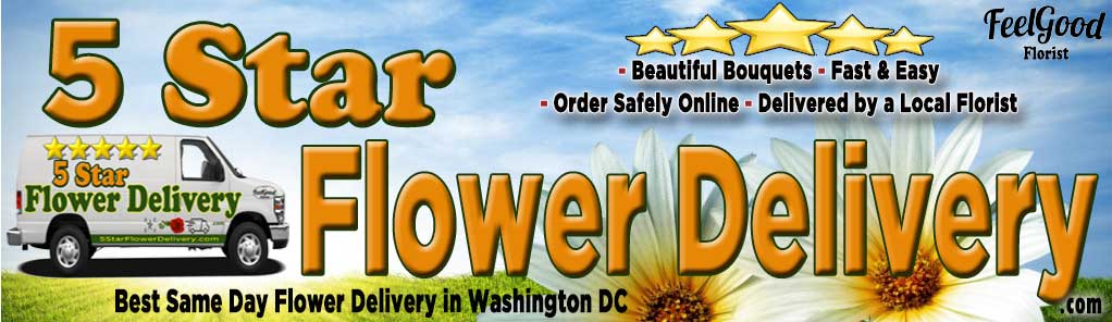Washington DC Florist